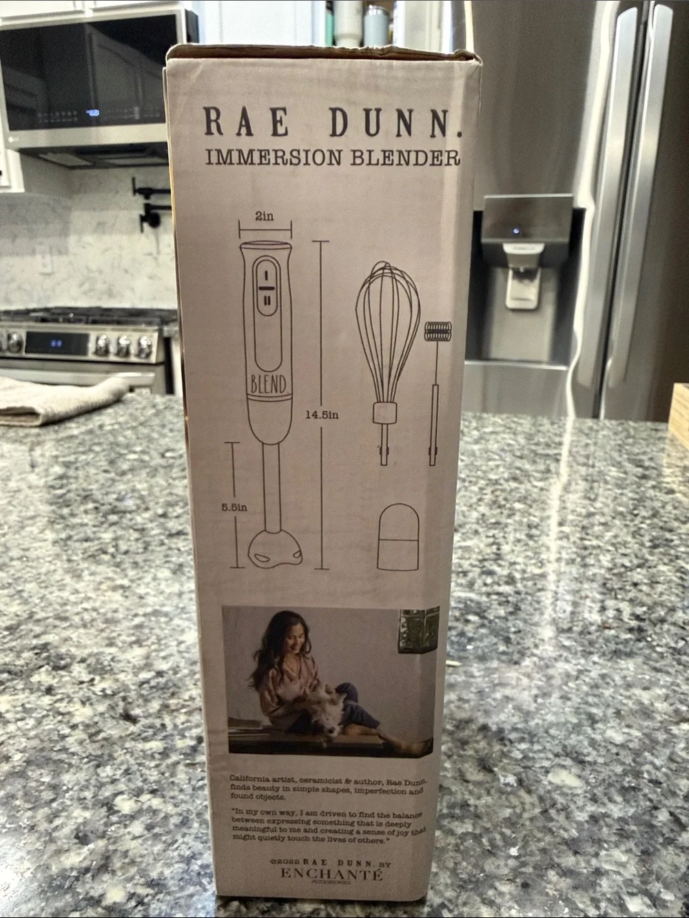 Rae Dunn White Immersion Blender with Whisk & Frother Attachments